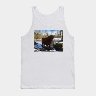 Scottish Highland Cattle Cow 2347 Tank Top